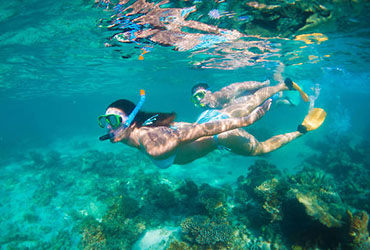 koh surin snorkeling